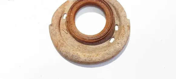 Coil spring mount