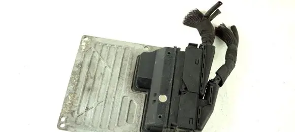Engine control unit/module ECU