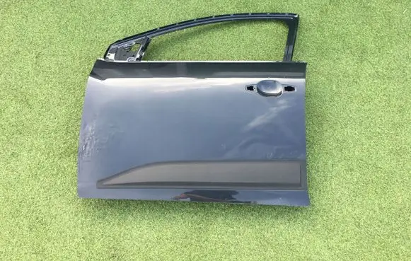 Dacia Sandero Front door 6524313