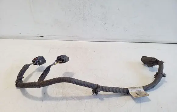 Other wiring loom