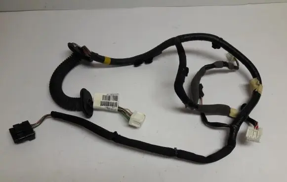 Rear door wiring loom