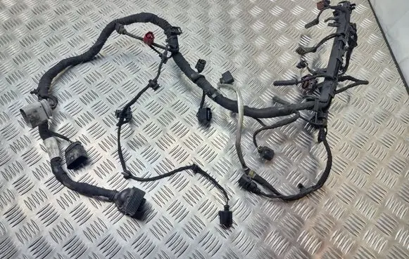 Engine installation wiring loom