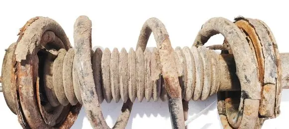 Front coil spring