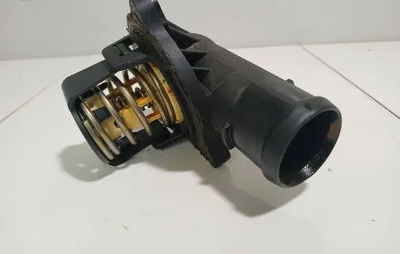 Thermostat/thermostat housing