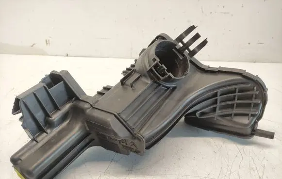 Citroen C4 II Picasso Intake resonator 9689014180