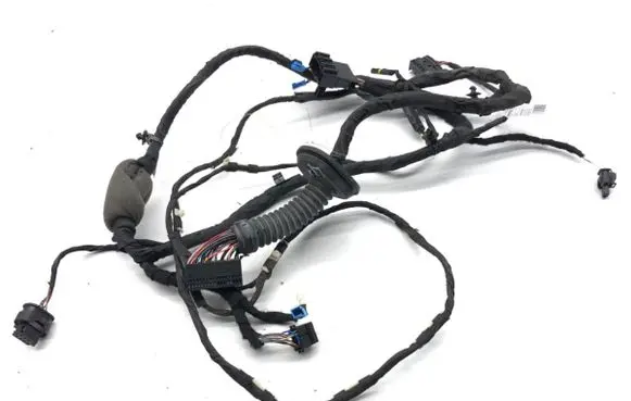 BMW X5 G05 Front door wiring loom 8779790