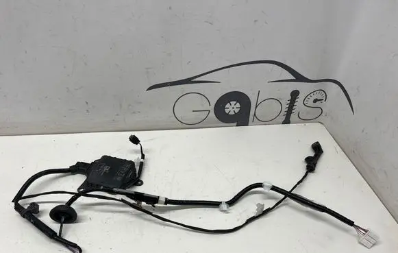 Toyota RAV 4 (XA50) Blind spot module 8816242091 2301003233
