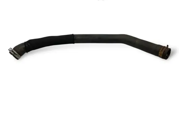 Mercedes-Benz A W169 Engine coolant pipe/hose A1695011082