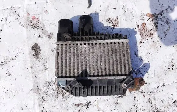Volkswagen Polo IV 9N3 Intercooler radiator 8730670