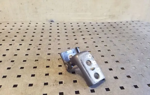 Citroen DS4 Rear door lower hinge