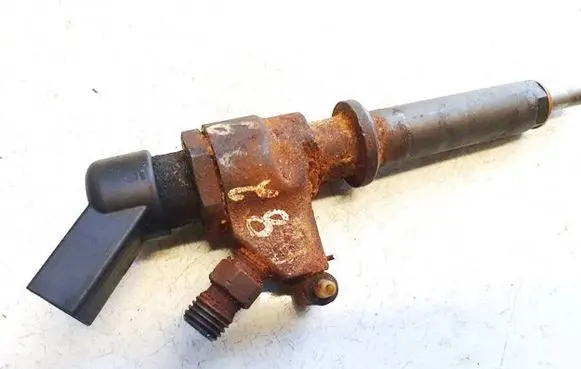 Peugeot Partner Fuel injector 9652173780