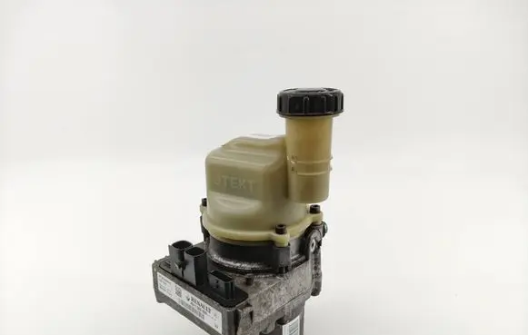 Dacia Sandero Power steering pump 491108089R