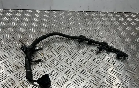 Lexus GS 300 350 430 450H Fuel injector wires 