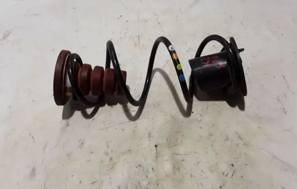 Renault Kangoo III Rear coil spring 550202763R