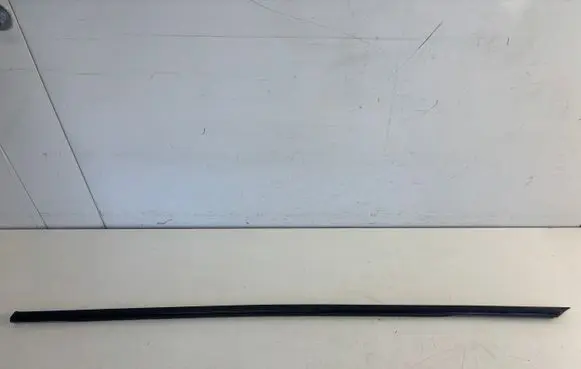 Citroen DS5 Front door glass trim molding 