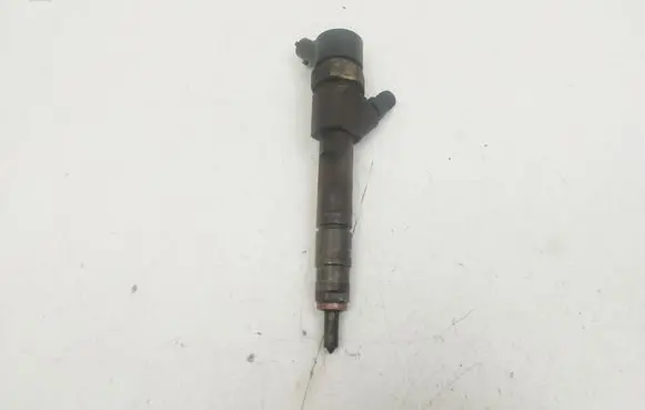 Renault Laguna II Fuel injector 0445110110