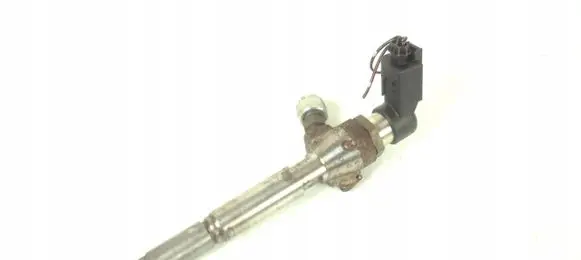 Nissan Qashqai Fuel injector H8200294788
