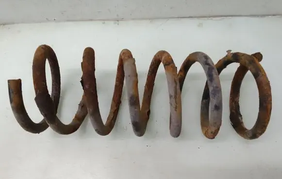 Ford S-MAX Rear coil spring 