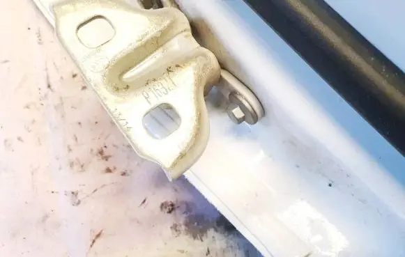 Opel Crossland X Rear door lower hinge p16321