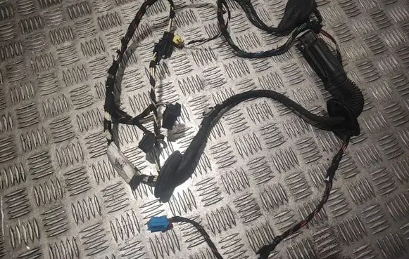 Porsche Macan (95B) Front door wiring loom 95B971030