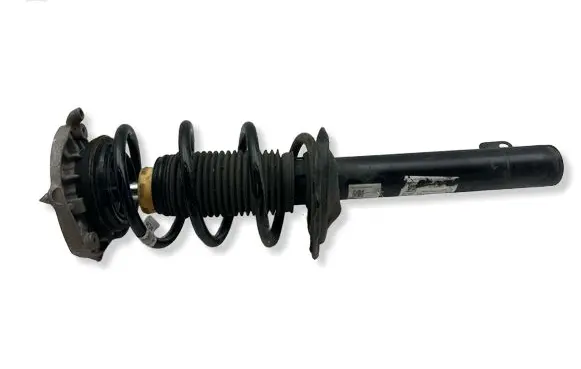 Volkswagen ID.4 Front shock absorber/damper 1EA412021EE