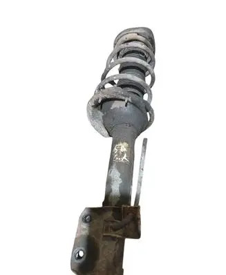 Subaru Forester SG Rear shock absorber with coil spring 