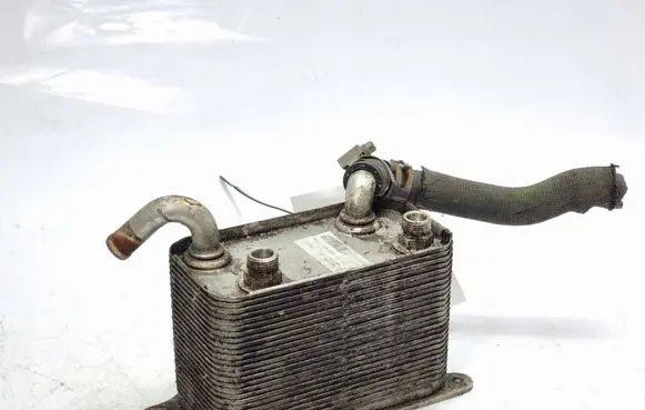 Volkswagen Phaeton Coolant radiator 3D0409061