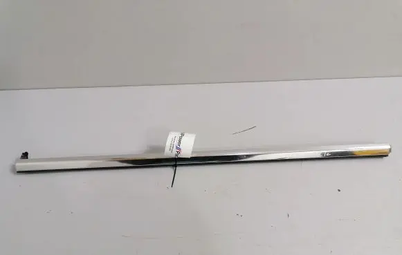 BMW 7 G11 G12 Front door glass trim molding 7336009