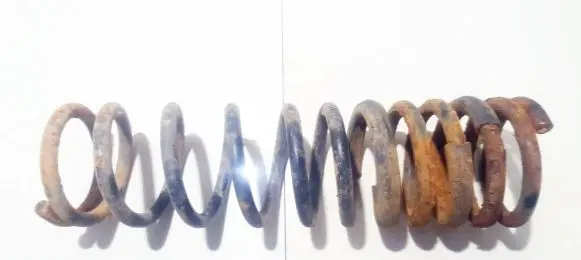 Ford Focus Rear coil spring
