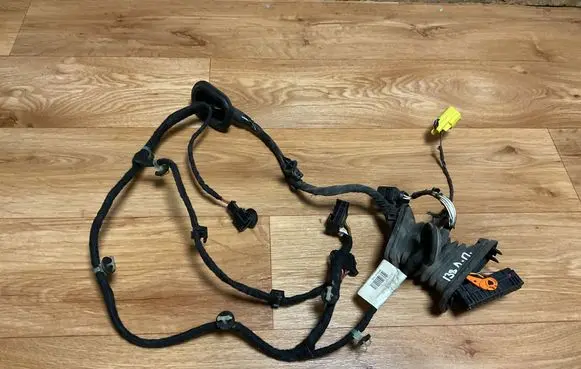 Volkswagen PASSAT B6 Front door wiring loom 3C1971120AT TAB016297AS