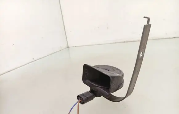 Horn signal