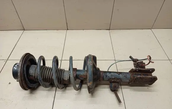 Suzuki Liana Rear shock absorber with coil spring 