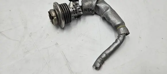 Land Rover Range Rover Evoque L551 AdBlue injector FX23189E3AB