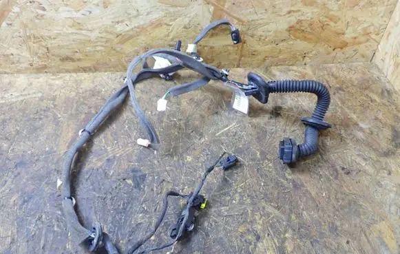 Renault Scenic III - Grand scenic III Front door wiring loom 241244678R