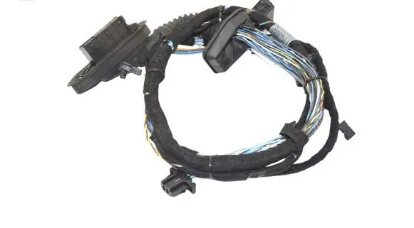 Front door wiring loom