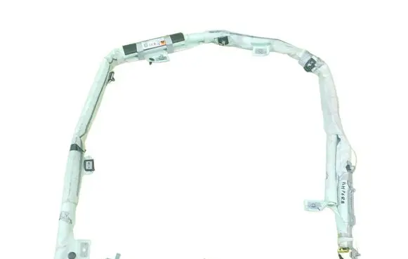 Opel Ampera Roof airbag 