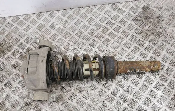 Porsche Cayenne (9PA) Rear shock absorber/damper 7L5513029G