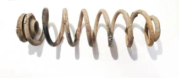 Skoda Roomster (5J) Rear coil spring