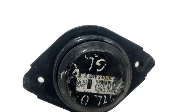 Mercedes-Benz GL X164 Engine mount bracket A25124030