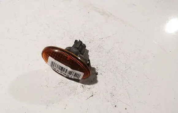 Front fender indicator light