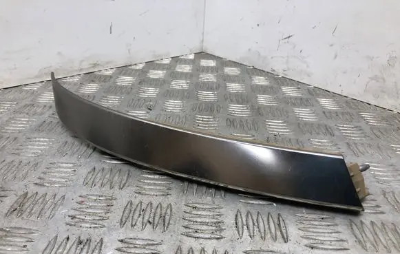 Other rear door trim element