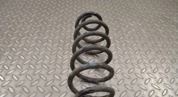 Rear coil spring