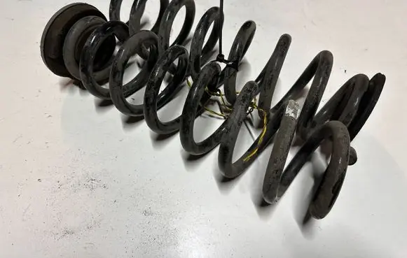 Opel Insignia B Rear coil spring