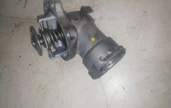 Thermostat/thermostat housing