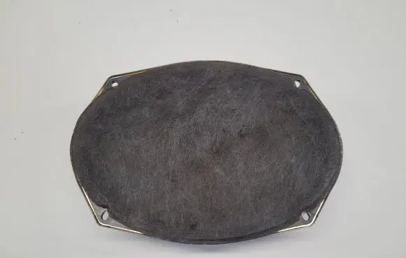 Chrysler Town & Country V Front door speaker 05091019AB