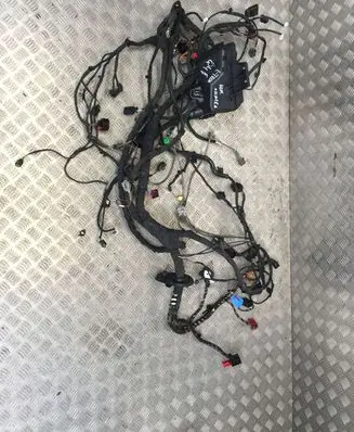 Audi e-tron Positive wiring loom AUDITAB016490BD