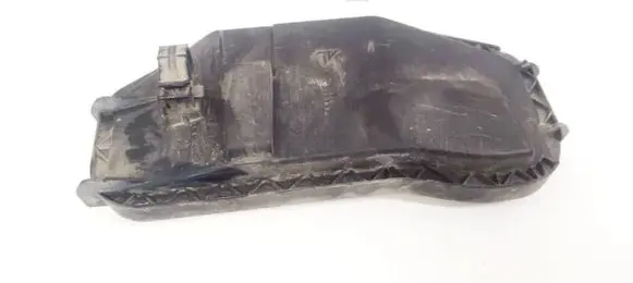 Peugeot Boxer Headlight/headlamp dust cover 41550749S