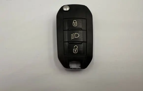 Peugeot 308 Ignition key/card 9674001080