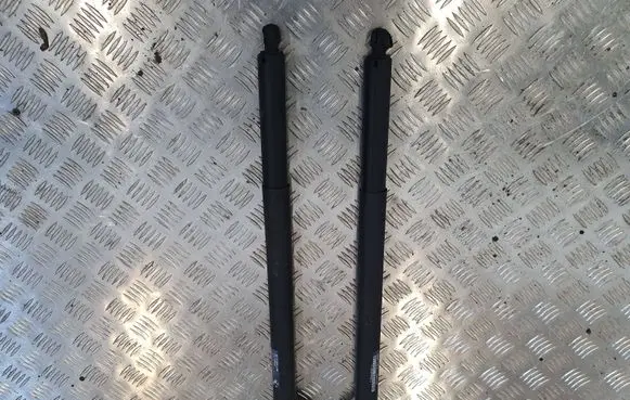 BMW 2 F45 Tailgate/trunk strut/damper 7348523