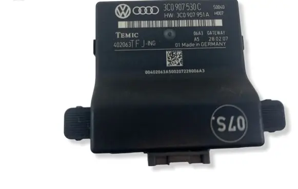 Volkswagen PASSAT B6 Gateway control module 3C0907530C